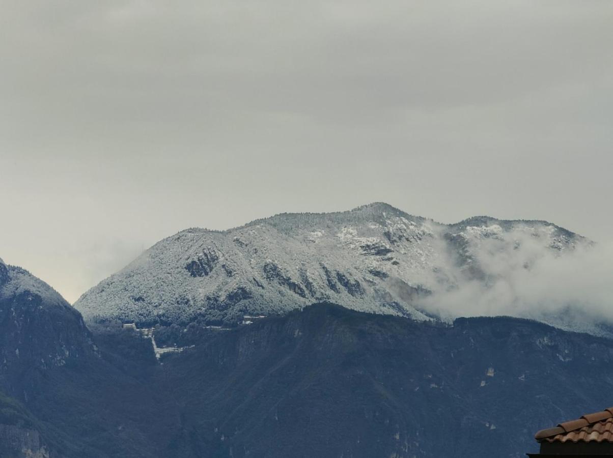 Verdisuite - Trento Centro - Parcheggio Privato Gratuito Exteriör bild